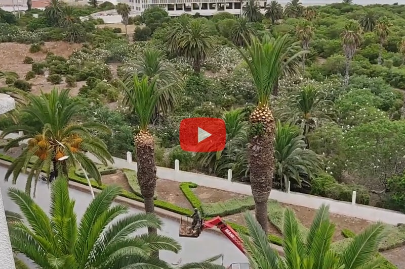 El Jadida Fait Peau Neuve Pour Le Dé-Confinement !