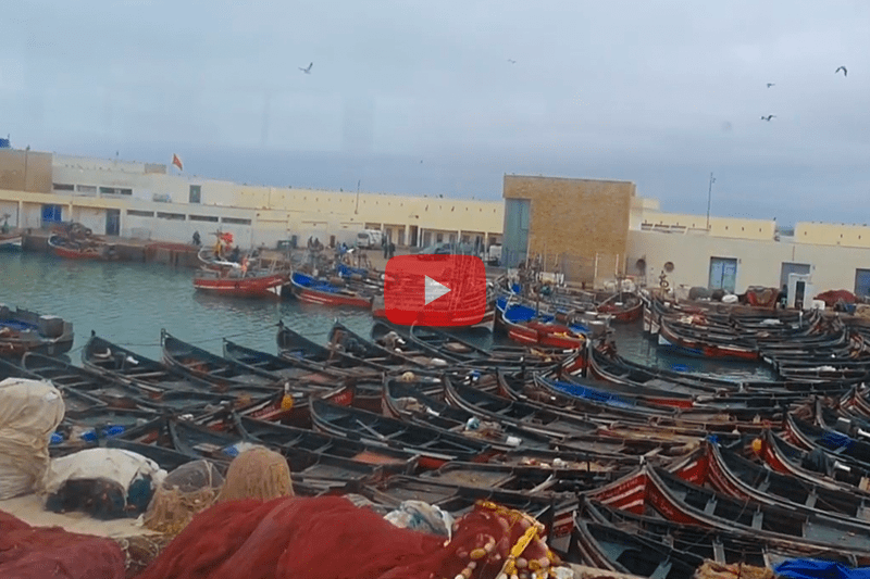 Diverses Manières De Pêcher À El Jadida !