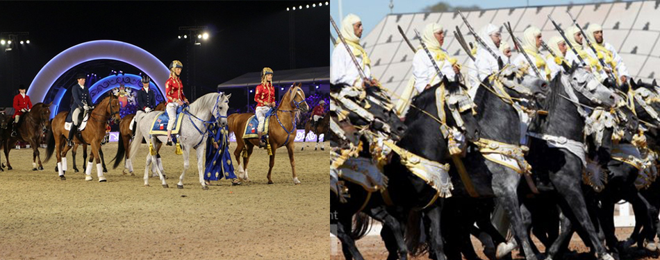 salon du cheval 2016 el jadida