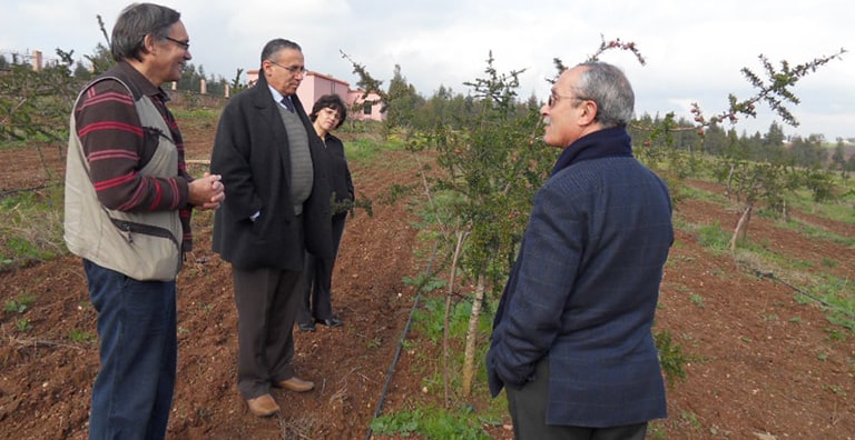 la-regression-des-arganeraies-article-eljadida-info-tourisme